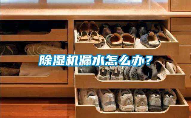 除濕機漏水怎么辦？