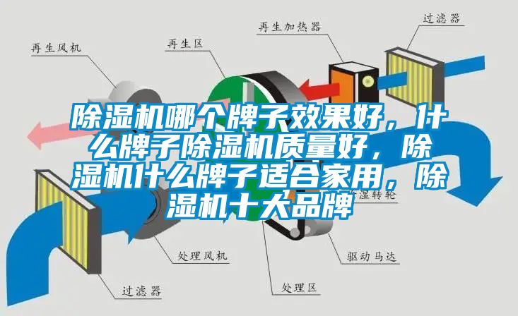 除濕機(jī)哪個(gè)牌子效果好，什么牌子除濕機(jī)質(zhì)量好，除濕機(jī)什么牌子適合家用，除濕機(jī)十大品牌