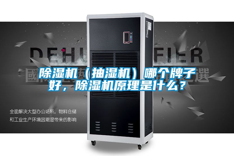 除濕機（抽濕機）哪個牌子好，除濕機原理是什么？