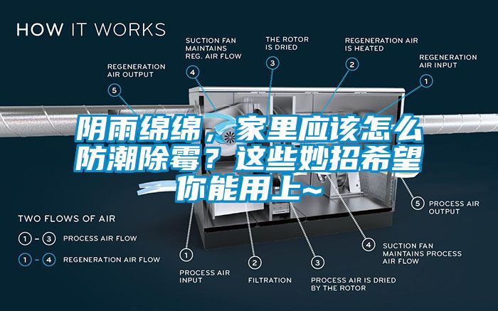 陰雨綿綿，家里應(yīng)該怎么防潮除霉？這些妙招希望你能用上~