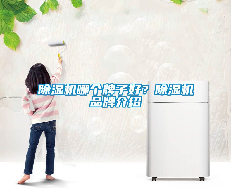 除濕機(jī)哪個(gè)牌子好？除濕機(jī)品牌介紹