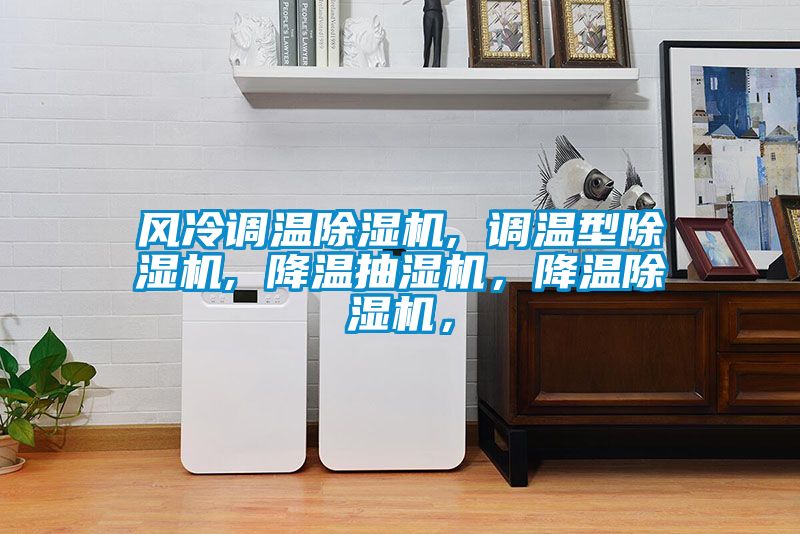 風(fēng)冷調(diào)溫除濕機, 調(diào)溫型除濕機, 降溫抽濕機，降溫除濕機，