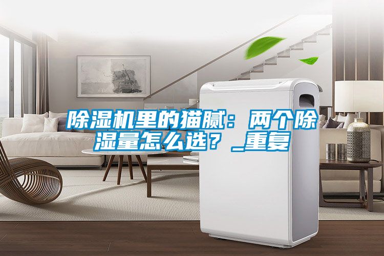 除濕機(jī)里的貓膩：兩個(gè)除濕量怎么選？_重復(fù)
