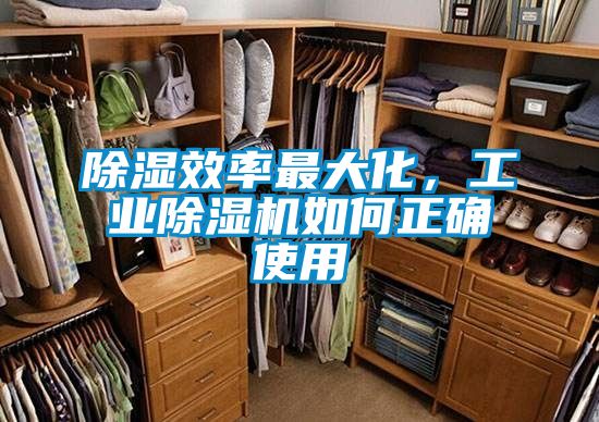 除濕效率最大化，工業(yè)除濕機如何正確使用