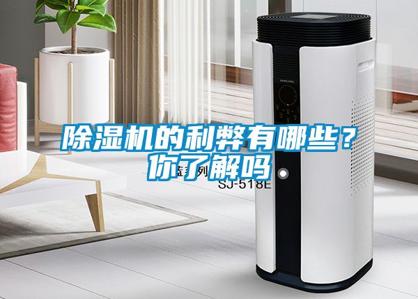 除濕機(jī)的利弊有哪些？你了解嗎