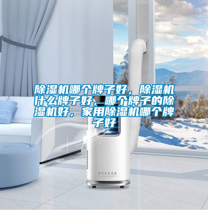 除濕機哪個牌子好，除濕機什么牌子好，哪個牌子的除濕機好，家用除濕機哪個牌子好