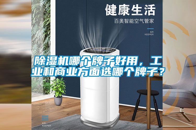 除濕機哪個牌子好用，工業(yè)和商業(yè)方面選哪個牌子？