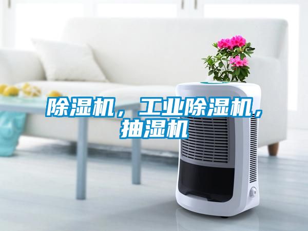 除濕機，工業(yè)除濕機，抽濕機