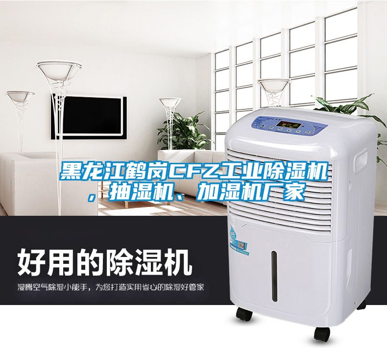 黑龍江鶴崗CFZ工業(yè)除濕機(jī)，抽濕機(jī)、加濕機(jī)廠家