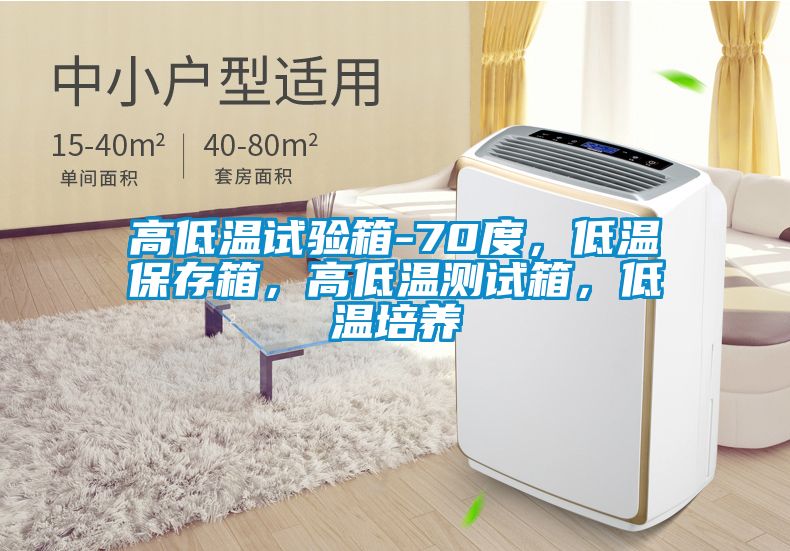 高低溫試驗(yàn)箱-70度，低溫保存箱，高低溫測(cè)試箱，低溫培養(yǎng)