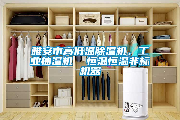 雅安市高低溫除濕機(jī)，工業(yè)抽濕機(jī)  恒溫恒濕非標(biāo)機(jī)器