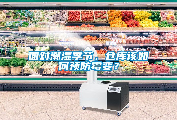 面對潮濕季節(jié)，倉庫該如何預防霉變？