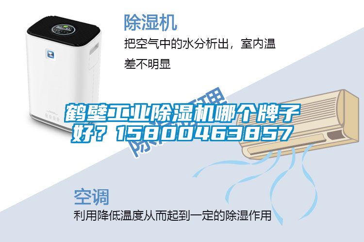 鶴壁工業(yè)除濕機(jī)哪個(gè)牌子好？15800463857