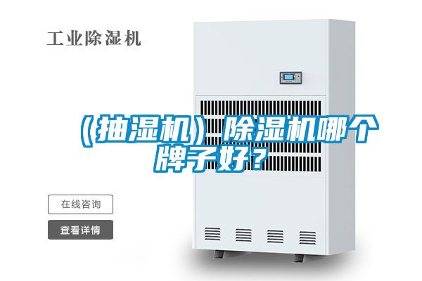 （抽濕機(jī)）除濕機(jī)哪個(gè)牌子好？