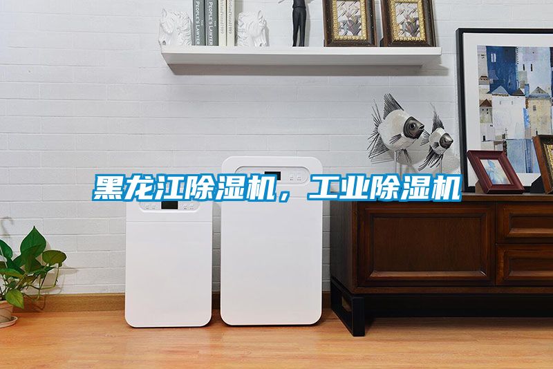 黑龍江除濕機，工業(yè)除濕機