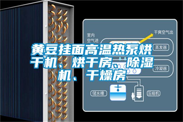 黃豆掛面高溫?zé)岜煤娓蓹C(jī)、烘干房、除濕機(jī)、干燥房