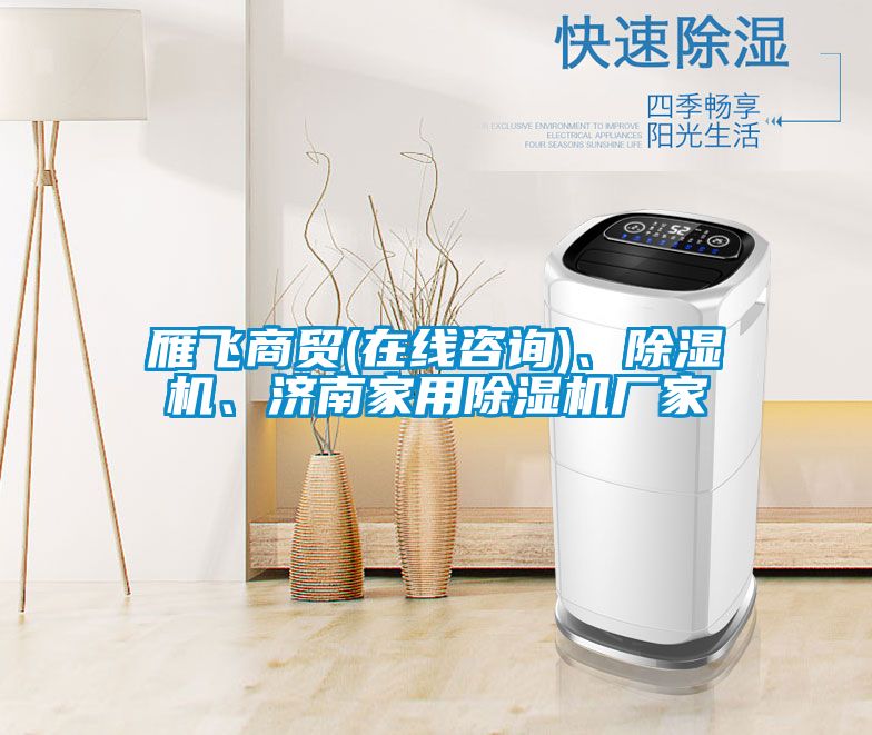 雁飛商貿(mào)(在線咨詢)、除濕機(jī)、濟(jì)南家用除濕機(jī)廠家