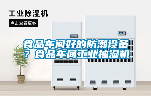 食品車間好的防潮設(shè)備？食品車間工業(yè)抽濕機