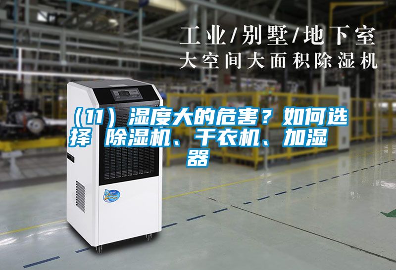 （11）濕度大的危害？如何選擇 除濕機(jī)、干衣機(jī)、加濕器