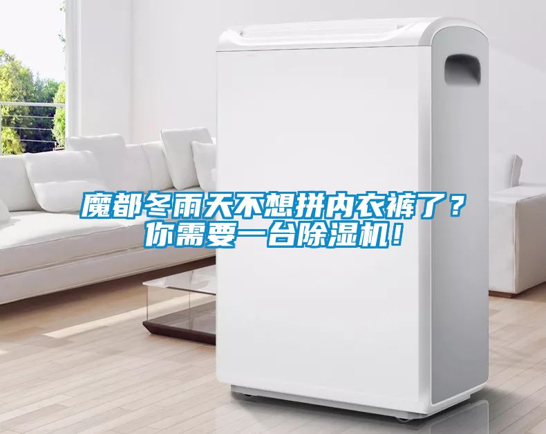 魔都冬雨天不想拼內(nèi)衣褲了？你需要一臺除濕機(jī)！