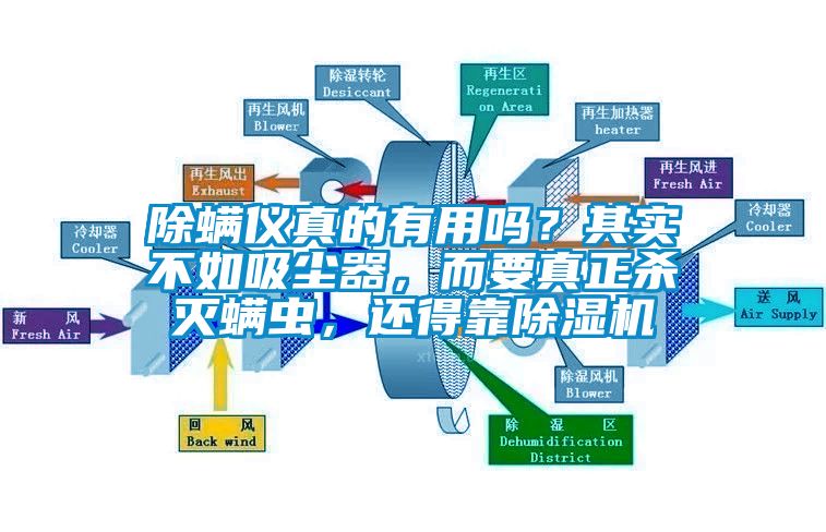除螨儀真的有用嗎？其實(shí)不如吸塵器，而要真正殺滅螨蟲，還得靠除濕機(jī)