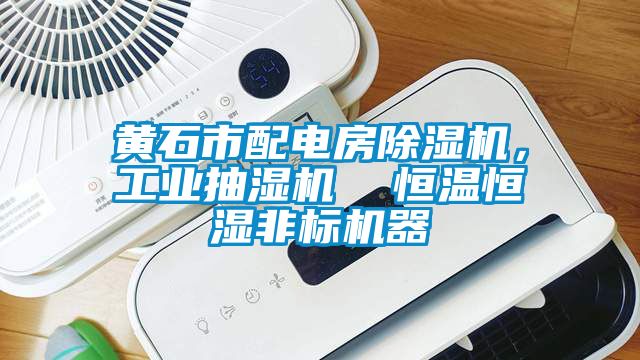 黃石市配電房除濕機，工業(yè)抽濕機  恒溫恒濕非標(biāo)機器